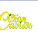 Citron Caviar profile picture