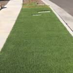 Menifee valley landscape inc Profile Picture