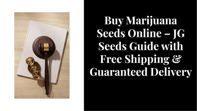 Buy Marijuana Seeds Online – JG Seeds Guide with Free Shipping & Guaranteed Delivery