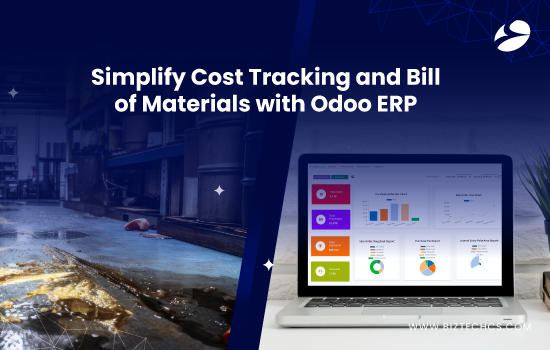 How to Effectively Manage Bill of Materials (BOM), Track Production Costs, and Enhance Cost Efficiency with Odoo ERP?