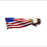 patalan 650 Profile Picture