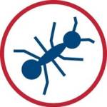 Peace of Mind Pest Control Profile Picture