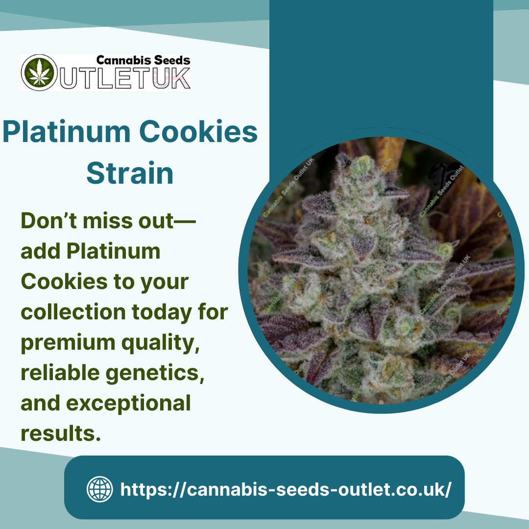 Platinum Cookies Feminized – Potent, Flavour-Packe..