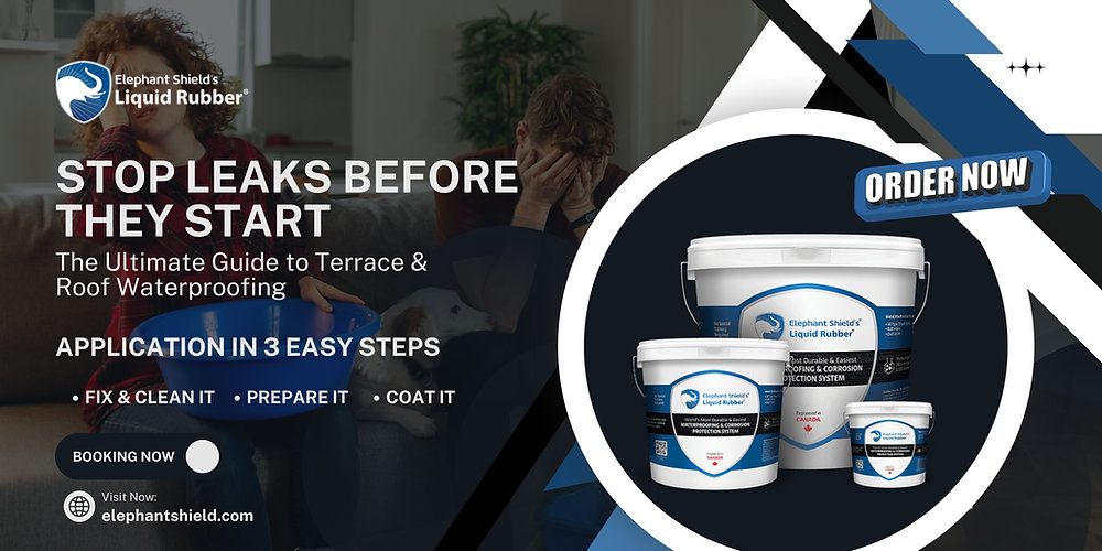 Stop Leaks Before They Start: The Ultimate Guide to Terrace & Roof Waterproofing