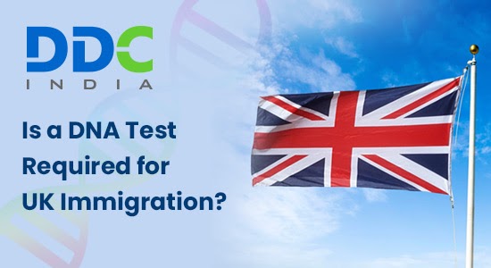 Immigration DNA Testing UK – A Comprehensive Guide