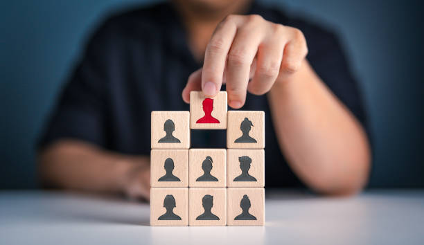 Caribbean HR Solutions — Unlocking Growth with Executive Search Services