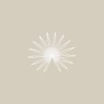 Ambros Daytona Profile Picture