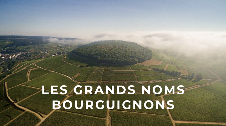 Dégustation de vins à Dijon – Explorez les saveurs de Bourgogne