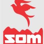 somgroup Profile Picture