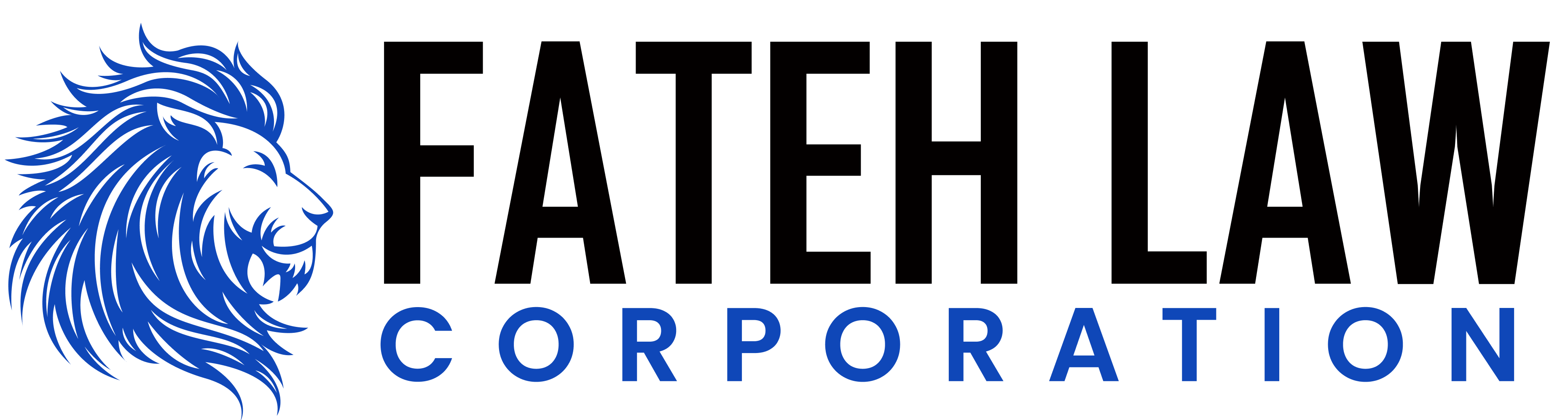 Canadian Immigration Lawyer in Chandigarh | Fateh Law Corporation