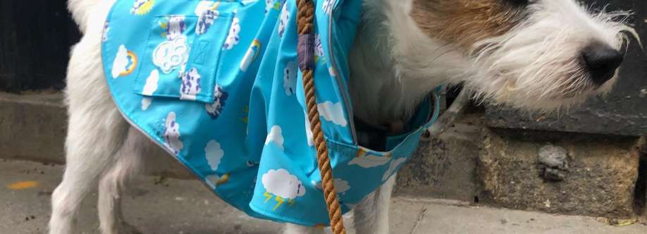 NYC Pooch Profile Picture