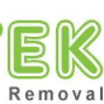 D-Tek Live Bee Removal Profile Picture