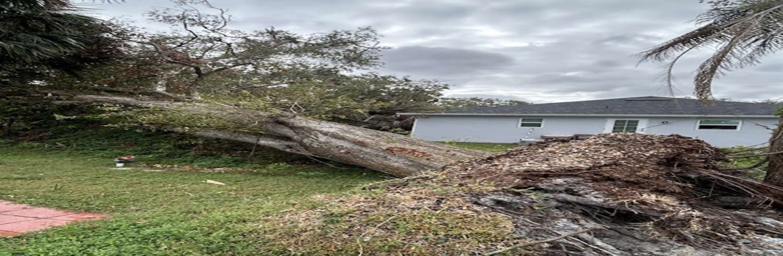 Tree Squad Removal LLC Cover Image