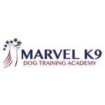 Marvelk9 Profile Picture