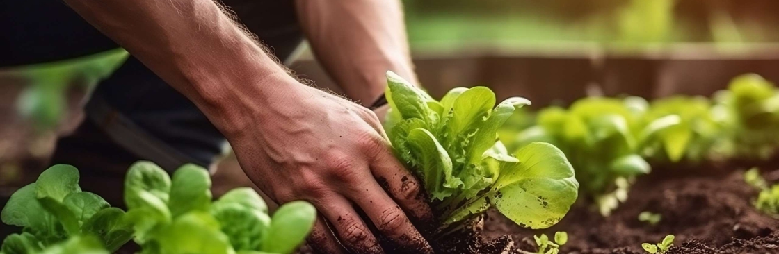 Agriculture Benin Cover Image