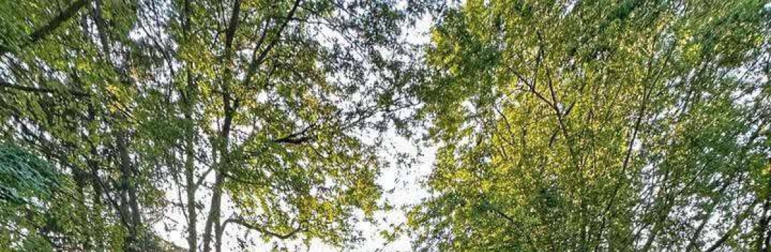 Fernhill Fencing Cover Image