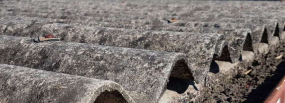 Asbestos Removal Newcastle Cover Image