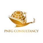 PNFG CONSULTANCY Profile Picture