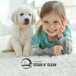 steamNclean Profile Picture