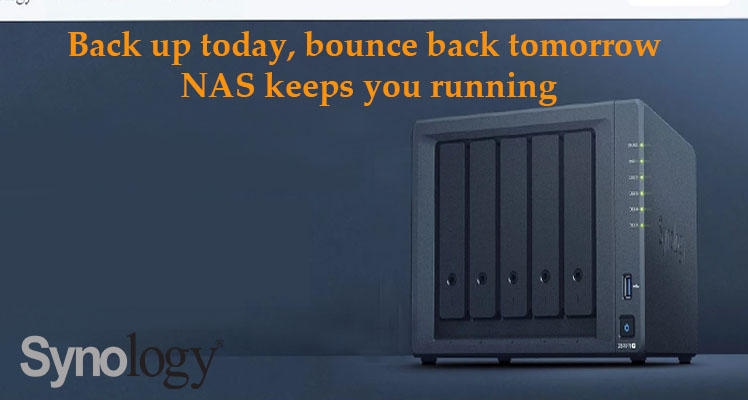 Synology HD Series NAS Provider in India | Radiant Info Solutions