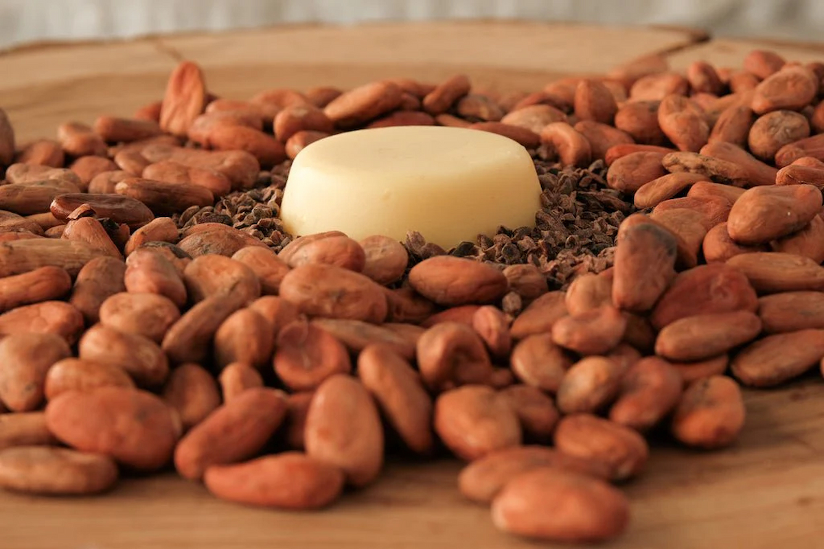 Unlock Radiant Skin: The Benefits and Uses of Cocoa Butter – A Bit of Everything