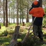 Cutting Edge Tree Maintenance Profile Picture