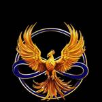 zenixadvisory Profile Picture