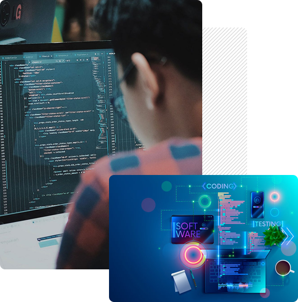 Custom Software Development Services in USA
