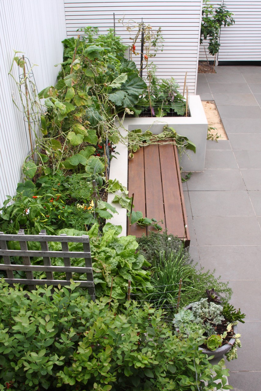 Landscape Construction Sydney | High-End Hardscape & Garden Builds - Custom Creations Landscapes