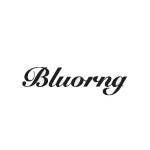 bluorng Profile Picture