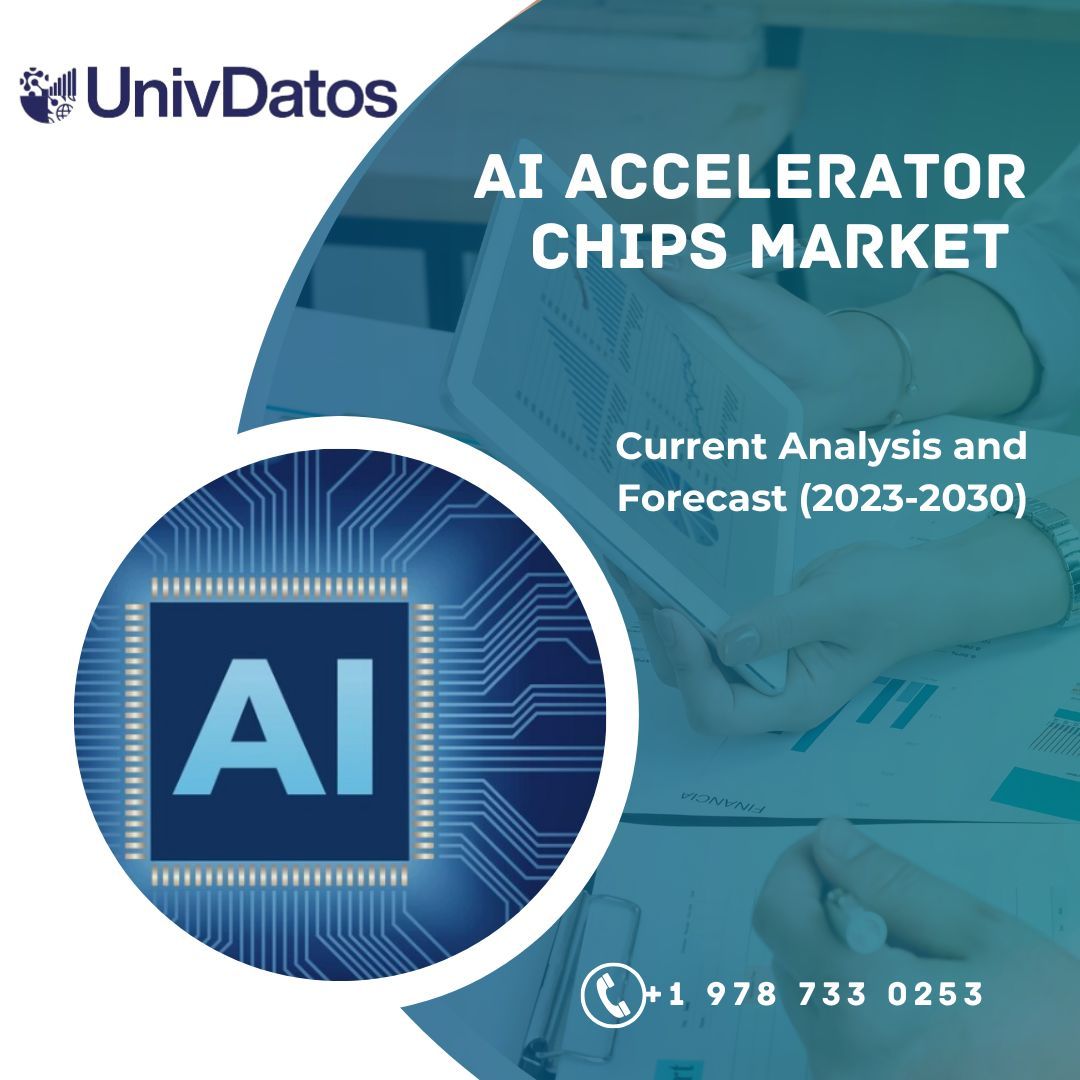 AI Accelerator Chips Market Size  Share Report, 2030