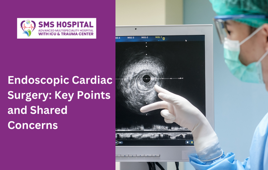Endoscopic Cardiac Surgery: Key Points and Shared Concerns