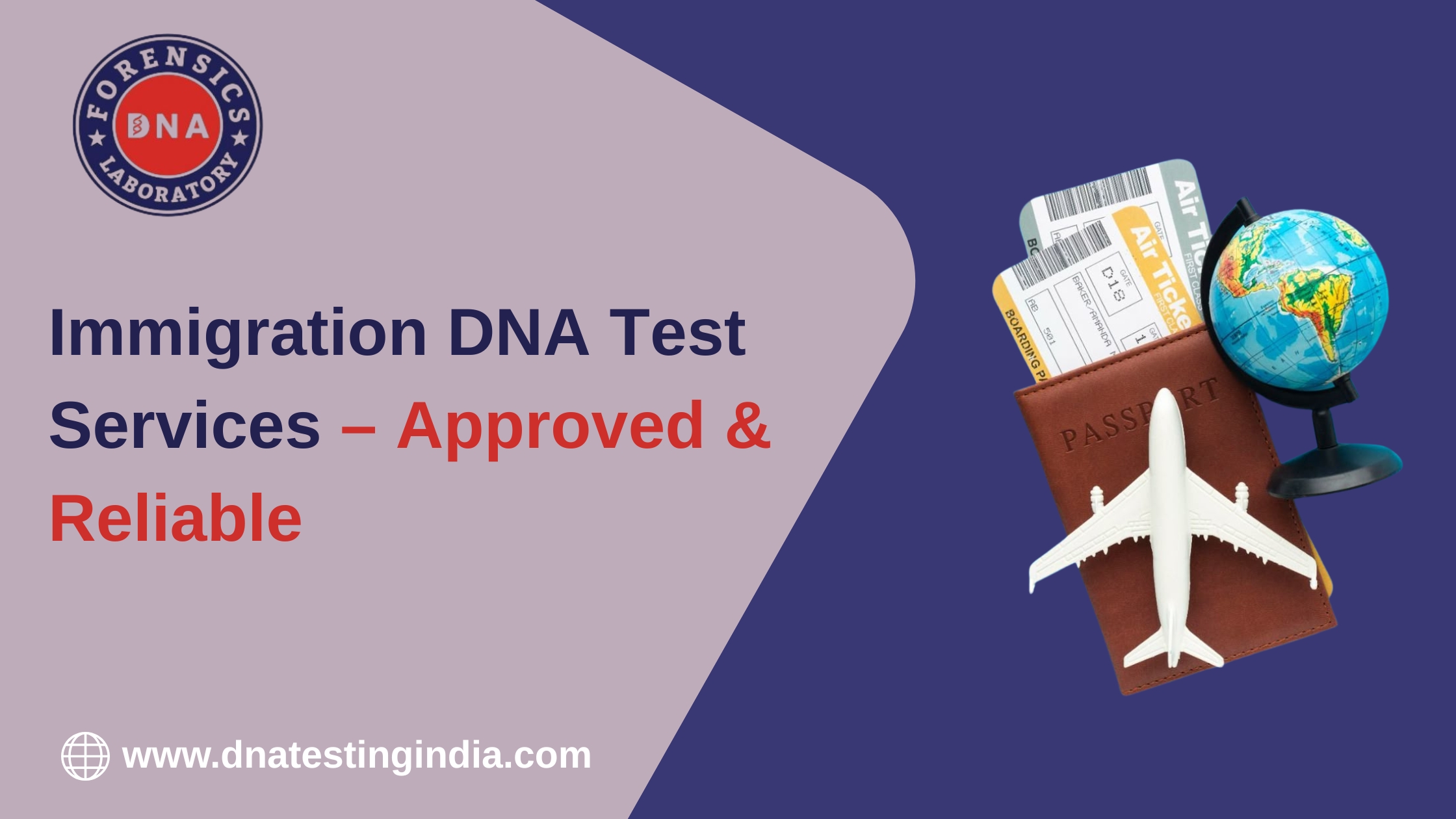 A Clear Guide to DNA Tests for a Smooth Immigration Process – DNA Forensics Laboratory