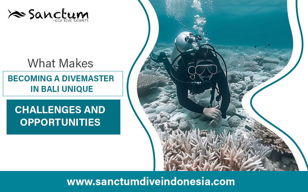 What Makes Becoming a Divemaster in Bali Unique: Challenges and Opportunities – Dive Indonesia, Scuba Bali Dive