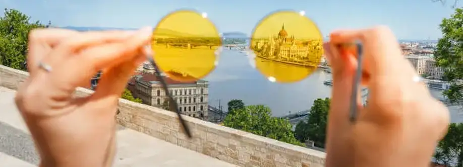 Vaihari sunglasses Cover Image