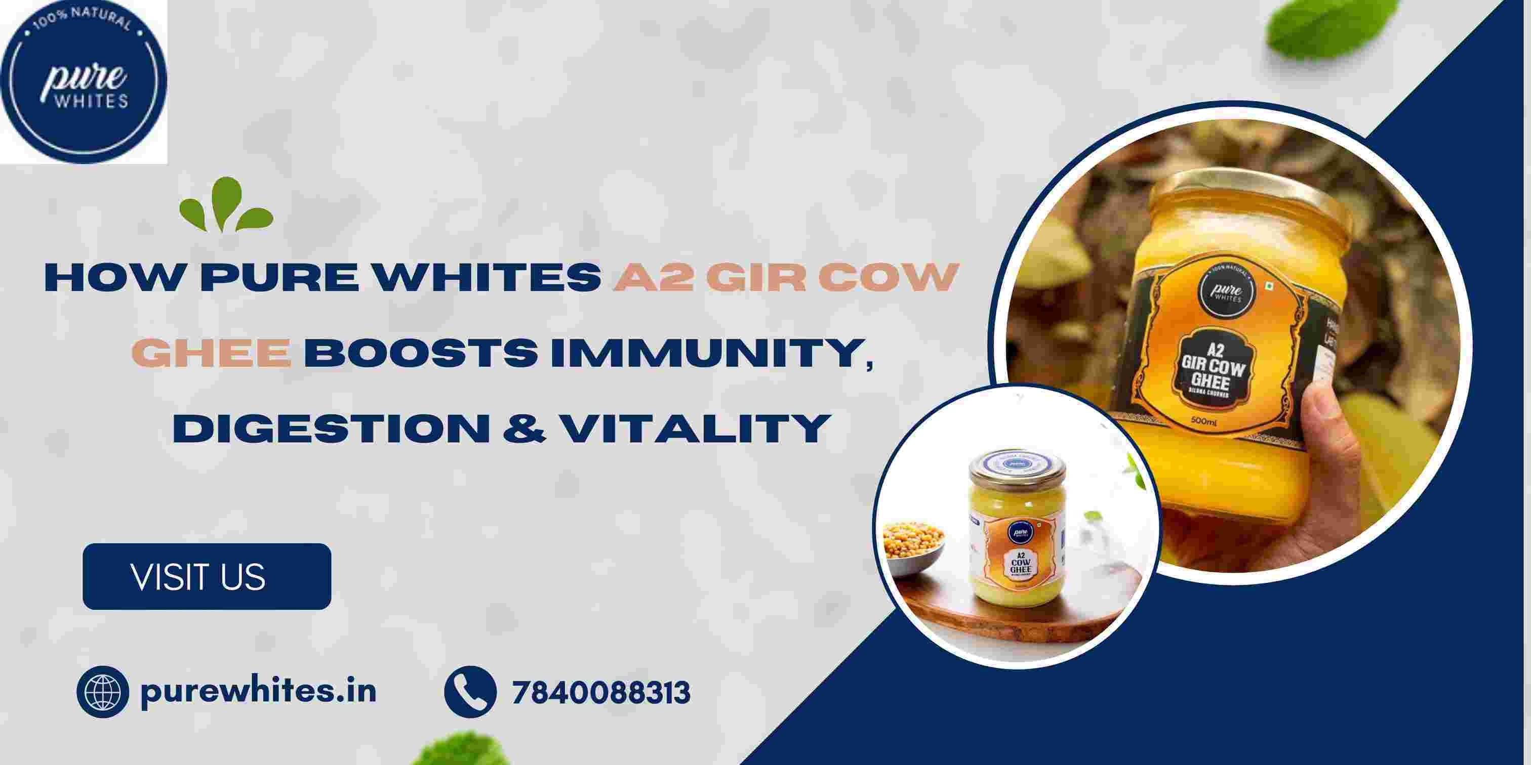 How Pure Whites A2 Gir Cow Ghee Boosts Immunity, Digestion & Vitality