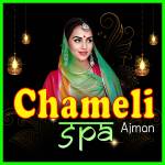 Chameli Spa Ajman Profile Picture