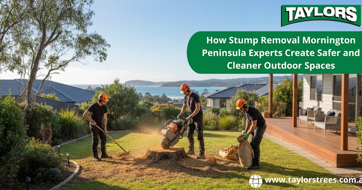 How Stump Removal Mornington Peninsula Experts Create Safer and Cleaner Outdoor Spaces