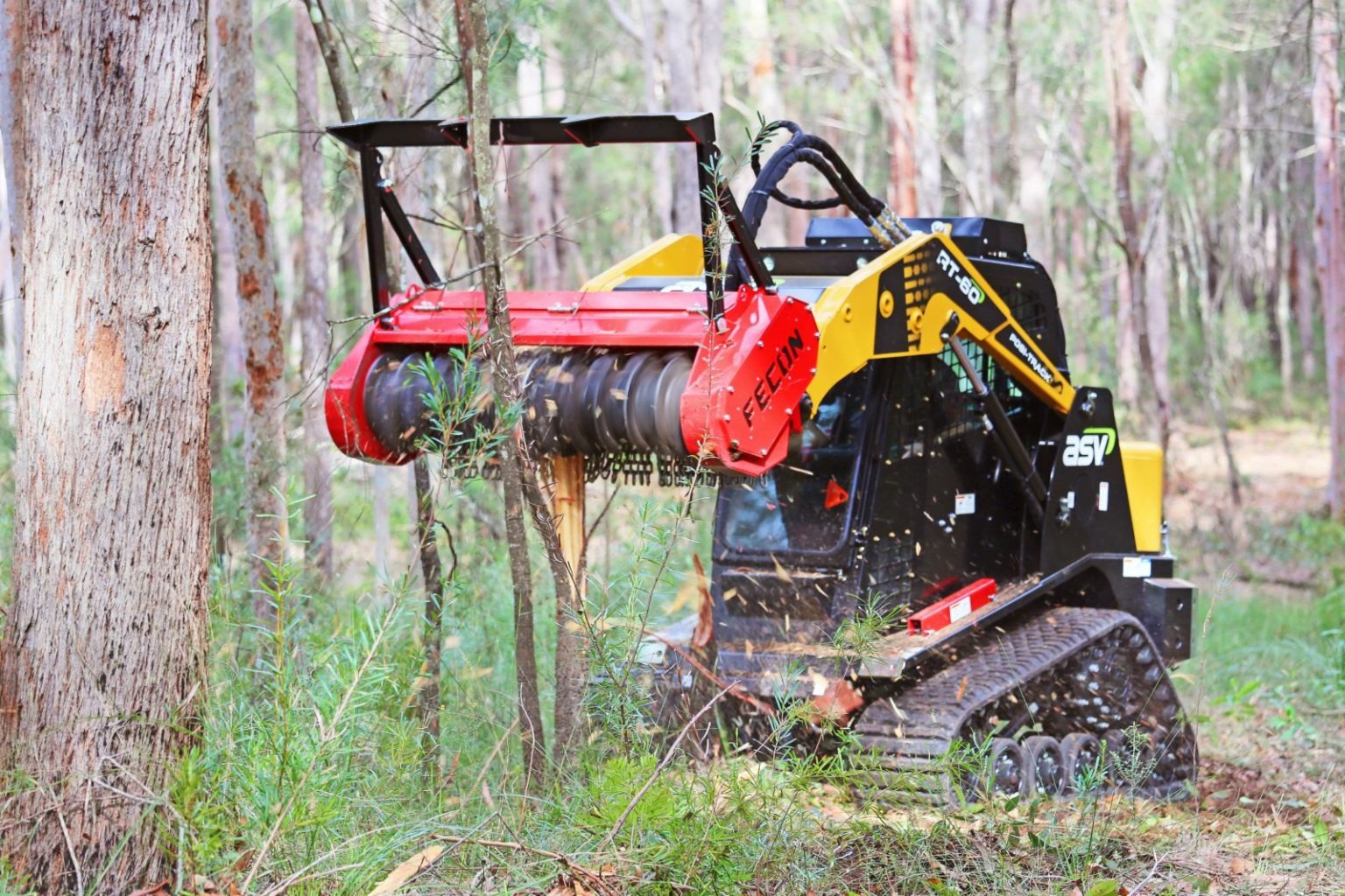 What Should You Know Before Buying a Skid Steer Forestry Mulcher? – Fecon