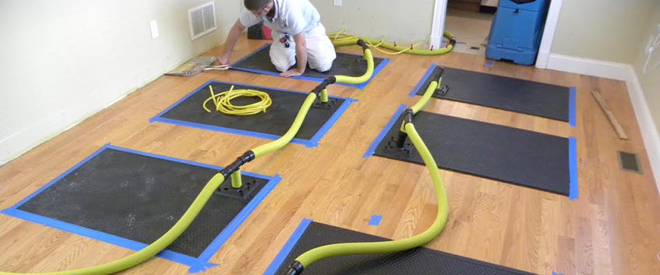 How to Choose the Best Flood Damage Restoration Service in Melbourne | by Capital Facility Services | Oct, 2025 | Medium