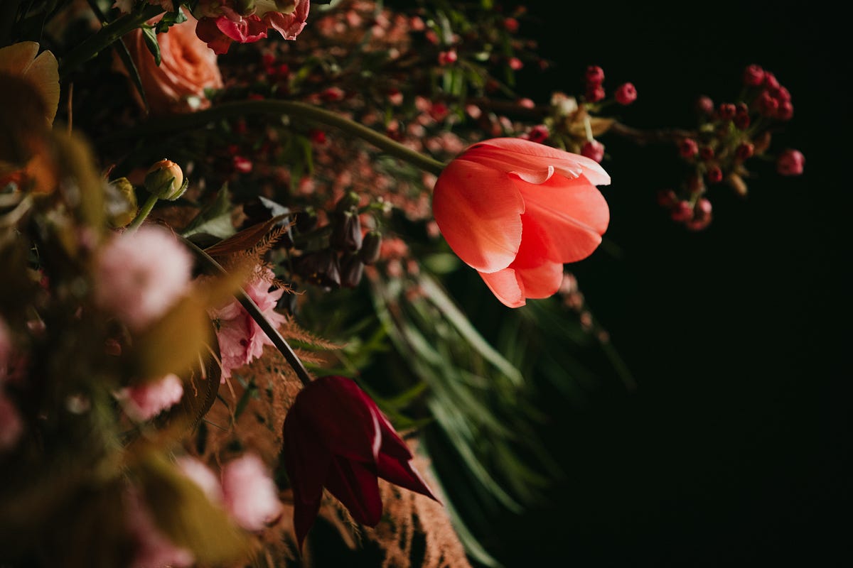 What Are the Secrets Behind Great Event Photography in London? | by Jonnydonovanphotography | Oct, 2025 | Medium