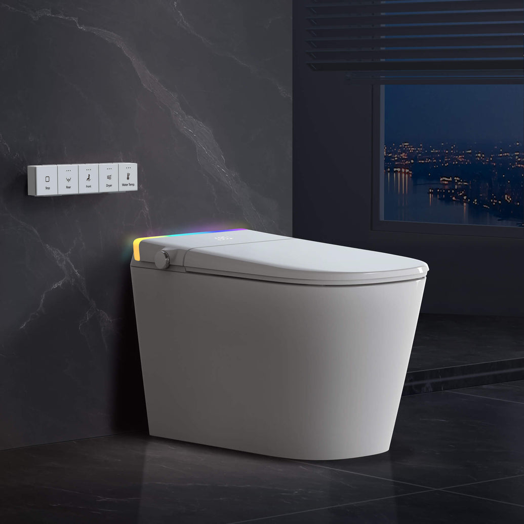 Modern Home Toilets with the Lowest Noise: bazyth — LiveJournal