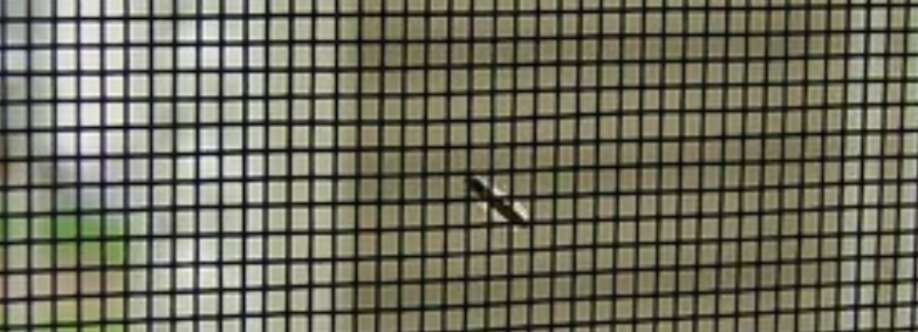 Fly Mesh Systems Cover Image