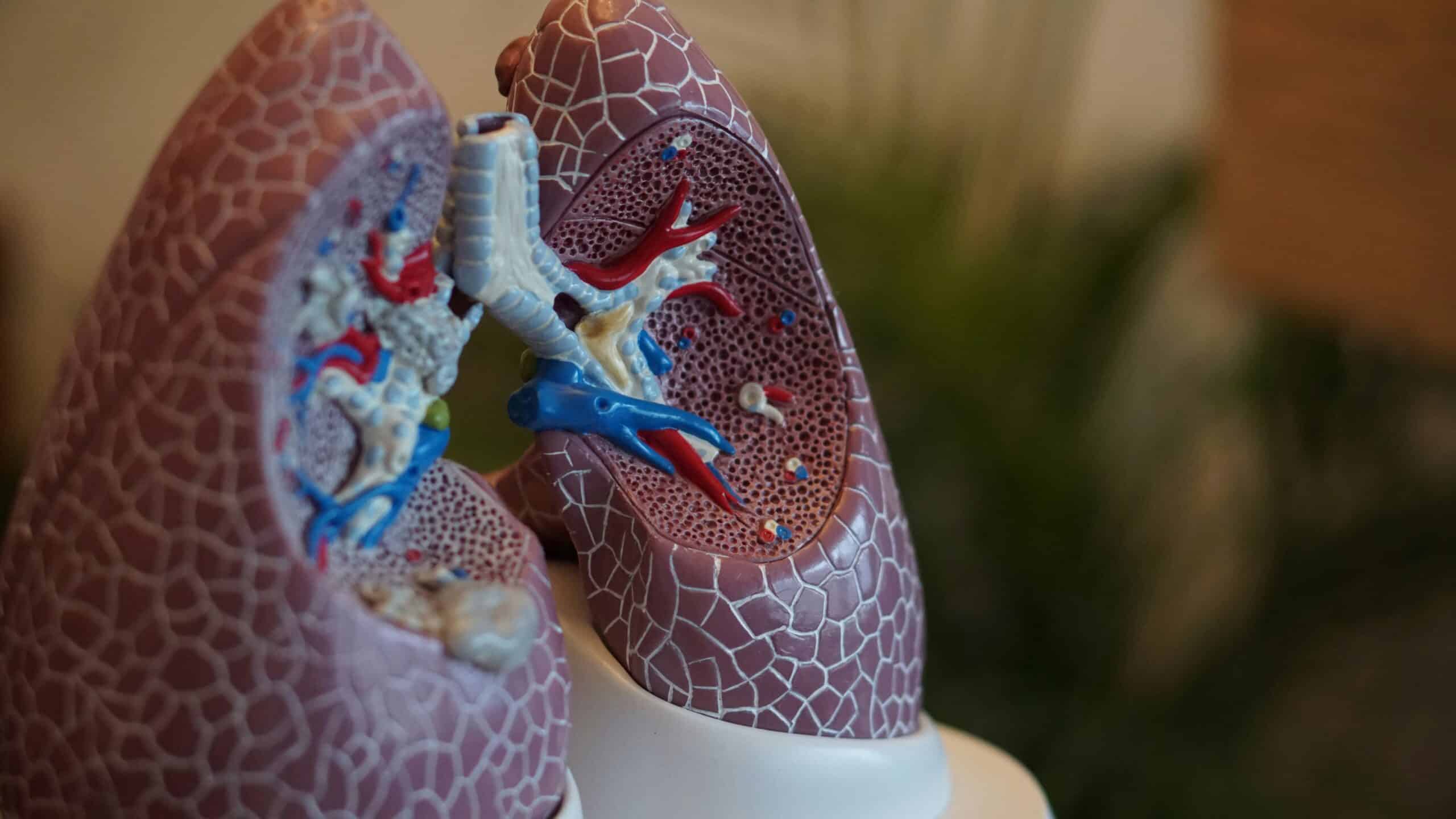 How to Improve Lung Capacity at Every Age | Carolina Pharmacy