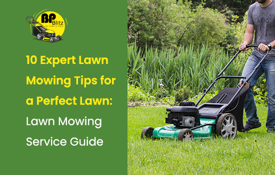 10 Expert Lawn Mowing Tips for a Perfect Lawn: Lawn Mowing Service Guide