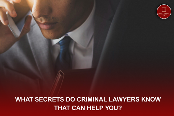 Secrets of Criminal Lawyers Know That Can Help You