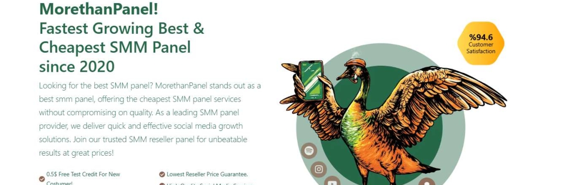 MoreThanPanel Official Cover Image