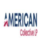 American Collective Lp Profile Picture