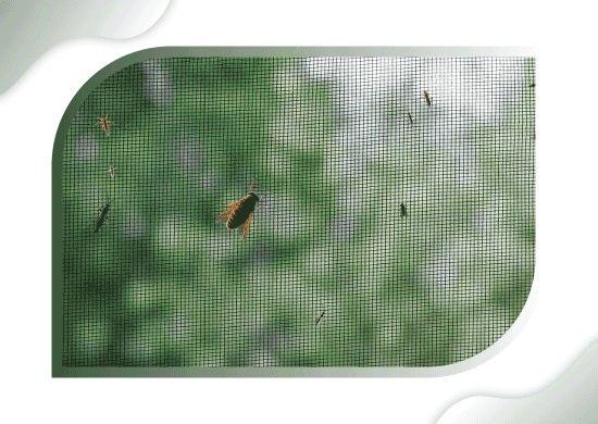 Roller Mosquito Net for Windows | Insect Netting for Windows