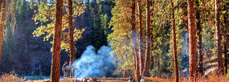 Jim Cano Cover Image